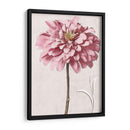 Zinnia Rosa Ii - Christine Zalewski | Cuadro decorativo de Canvas Lab