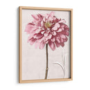 Zinnia Rosa Ii - Christine Zalewski | Cuadro decorativo de Canvas Lab