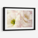 Flores Rosadas I - Christine Zalewski | Cuadro decorativo de Canvas Lab