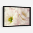 Flores Rosadas I - Christine Zalewski | Cuadro decorativo de Canvas Lab