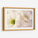 Flores Rosadas I - Christine Zalewski | Cuadro decorativo de Canvas Lab