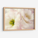 Flores Rosadas I - Christine Zalewski | Cuadro decorativo de Canvas Lab