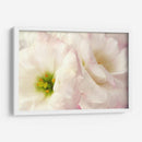 Flores Rosadas I - Christine Zalewski | Cuadro decorativo de Canvas Lab