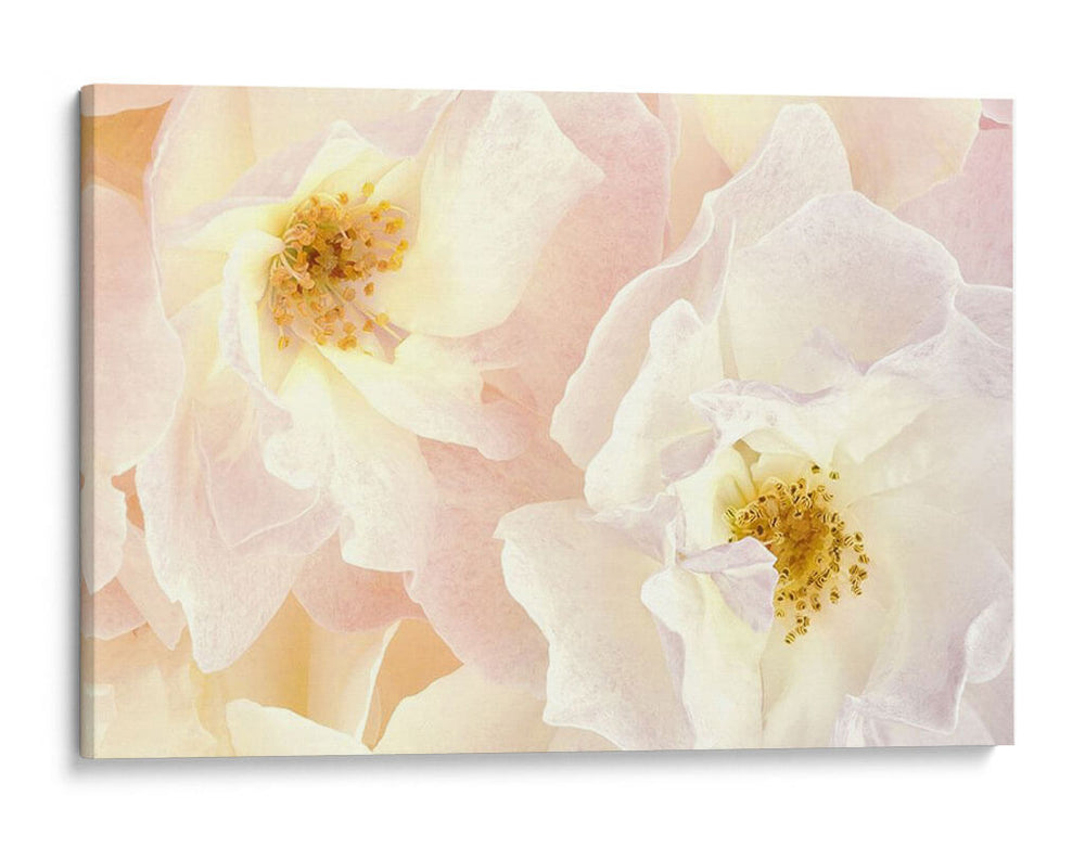 Flores Rosadas Ii - Christine Zalewski | Cuadro decorativo de Canvas Lab