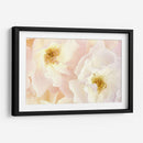 Flores Rosadas Ii - Christine Zalewski | Cuadro decorativo de Canvas Lab