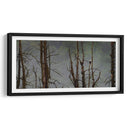 Águila Cabeza Blanca - Omar Montero | Cuadro decorativo de Canvas Lab