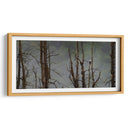 Águila Cabeza Blanca - Omar Montero | Cuadro decorativo de Canvas Lab