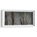 Águila Cabeza Blanca - Omar Montero | Cuadro decorativo de Canvas Lab