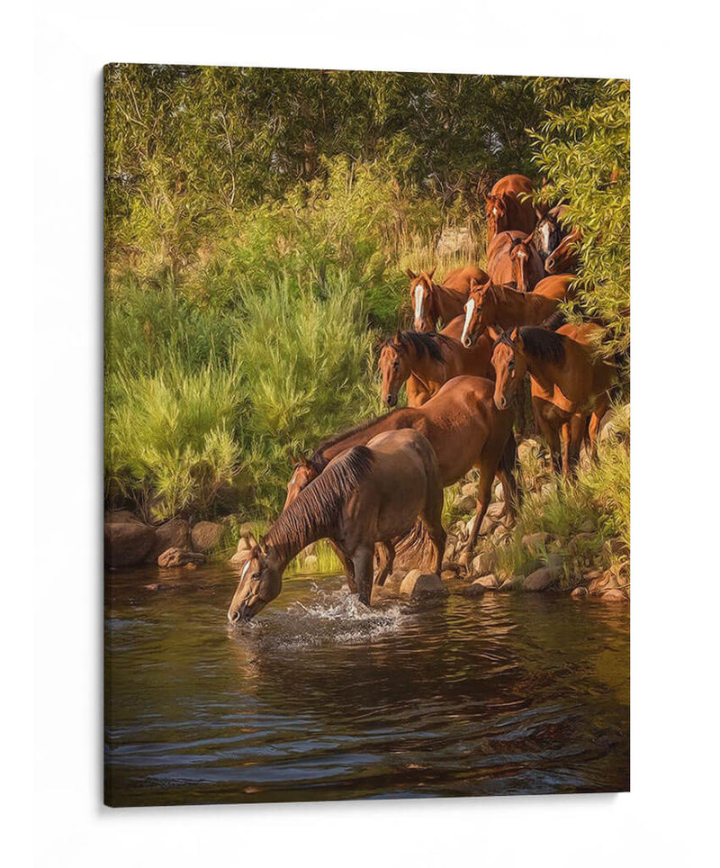 Caballos De Río I - PH Burchett | Cuadro decorativo de Canvas Lab