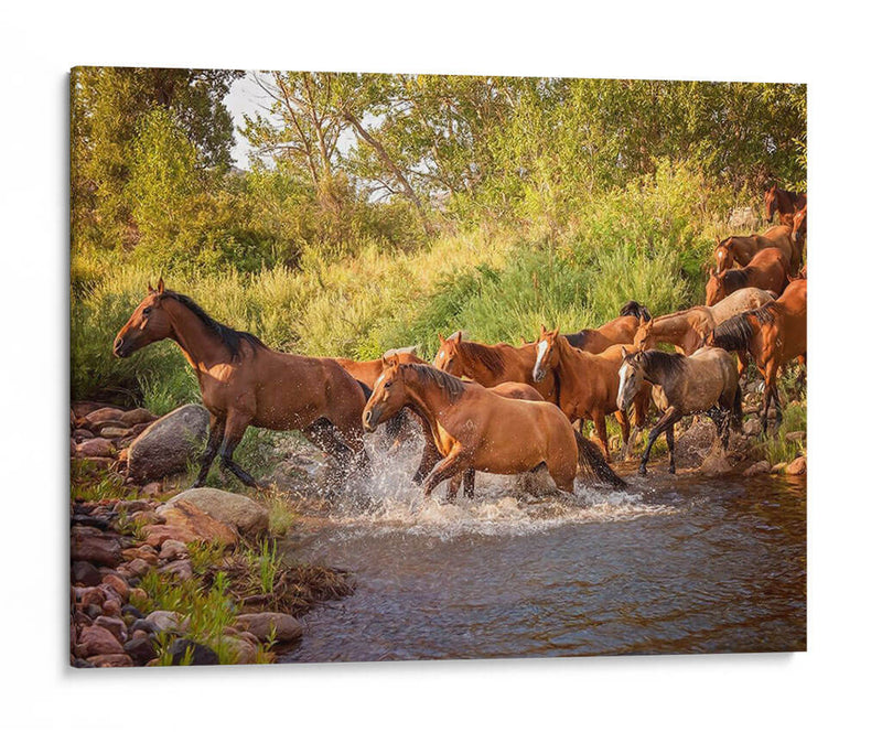 Caballos Del Río Ii - PH Burchett | Cuadro decorativo de Canvas Lab