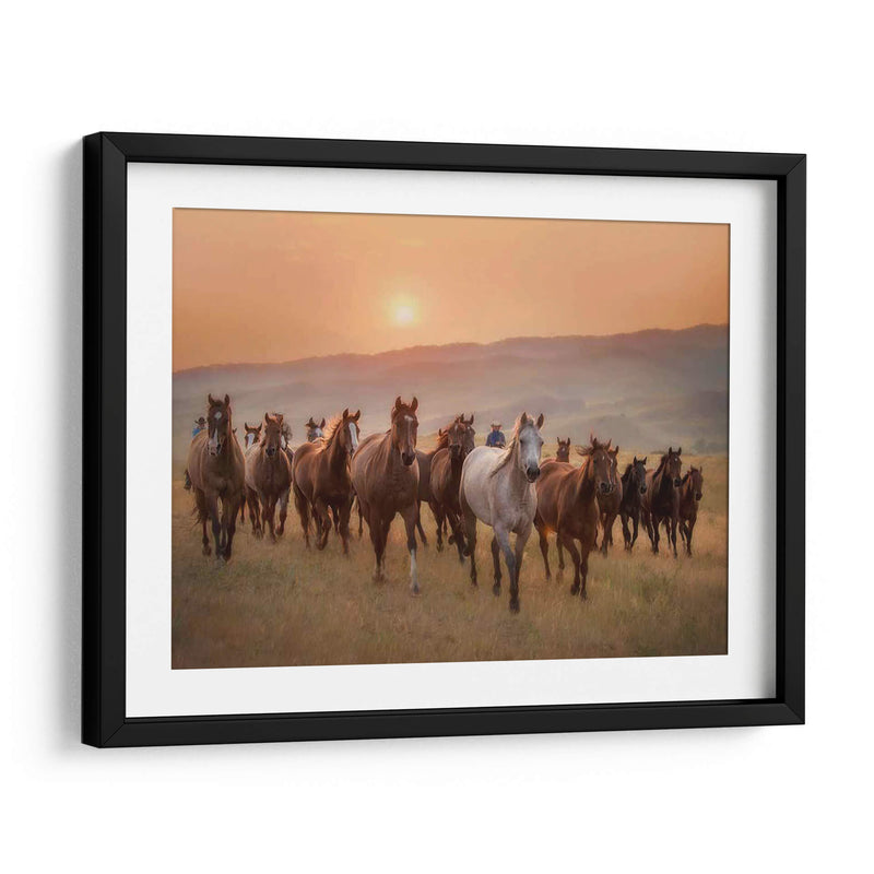 Caballos Sunkissed Ii - PH Burchett | Cuadro decorativo de Canvas Lab