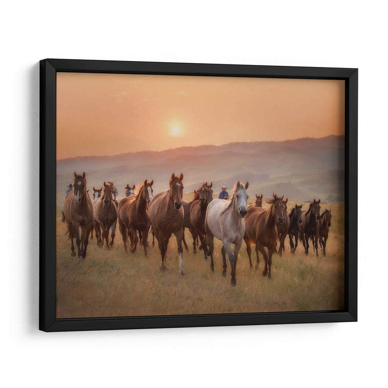 Caballos Sunkissed Ii - PH Burchett | Cuadro decorativo de Canvas Lab