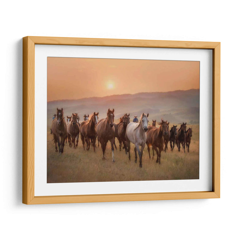 Caballos Sunkissed Ii - PH Burchett | Cuadro decorativo de Canvas Lab