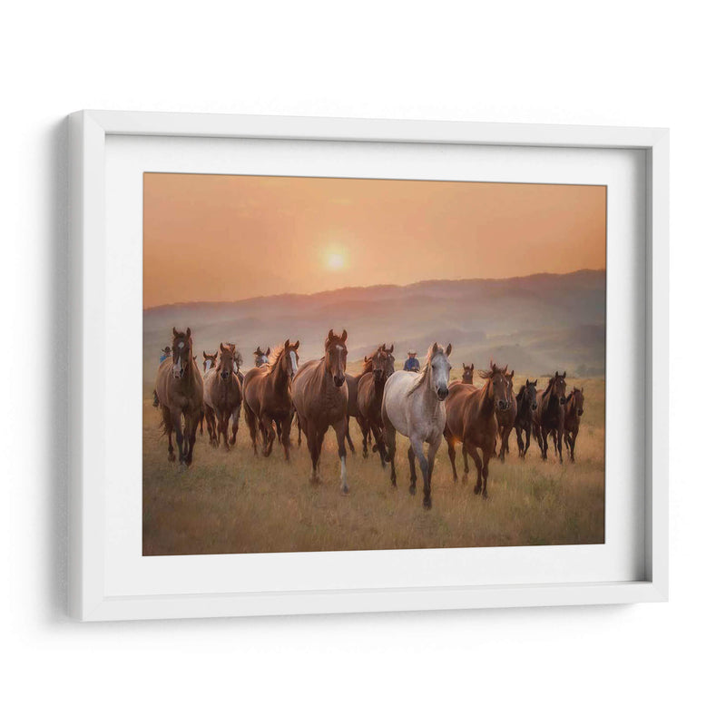 Caballos Sunkissed Ii - PH Burchett | Cuadro decorativo de Canvas Lab