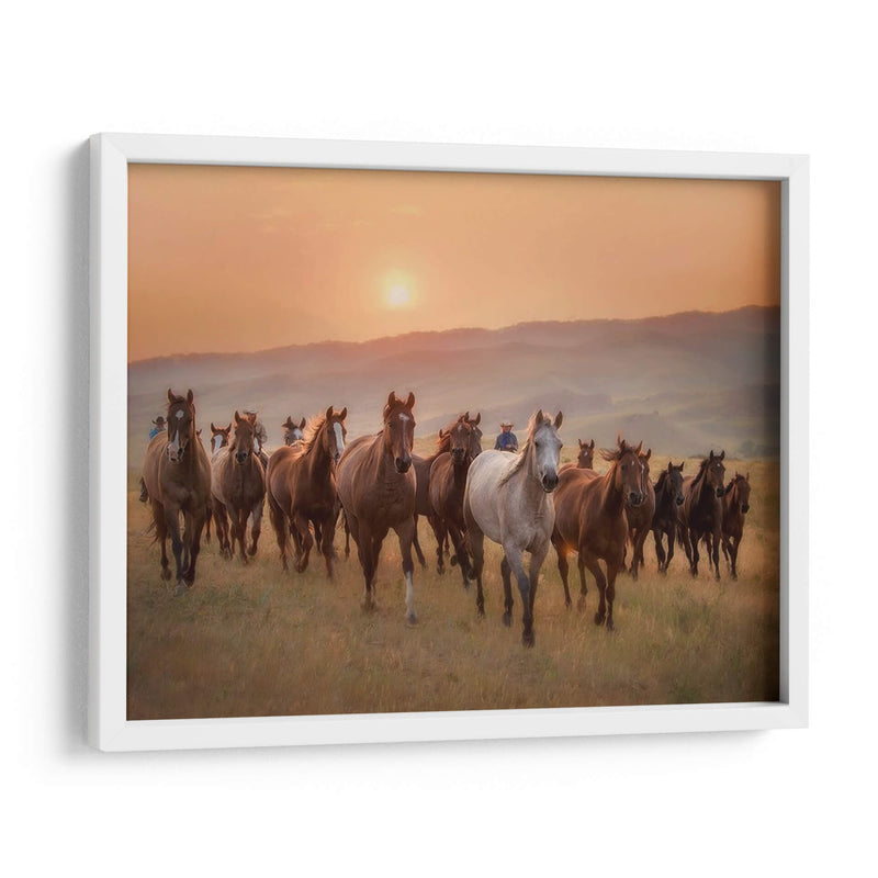 Caballos Sunkissed Ii - PH Burchett | Cuadro decorativo de Canvas Lab