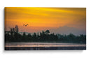 Amanecer en Xochimilco - Omar Montero | Cuadro decorativo de Canvas Lab