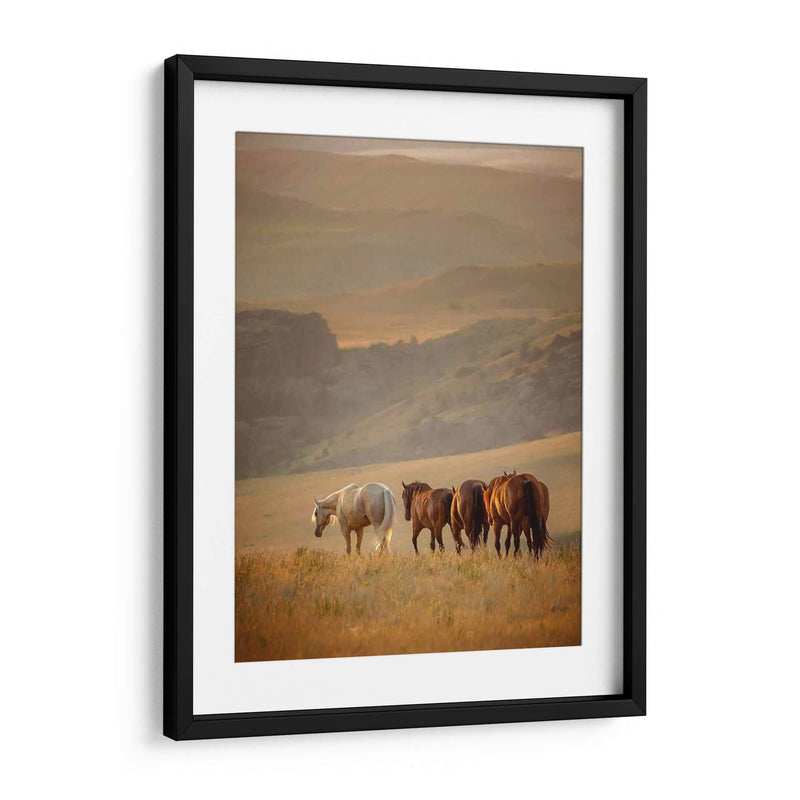 Caballos Sunkissed Vi - PH Burchett | Cuadro decorativo de Canvas Lab