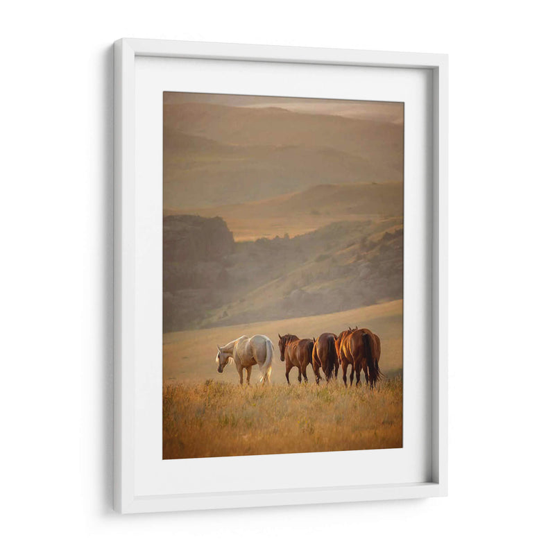 Caballos Sunkissed Vi - PH Burchett | Cuadro decorativo de Canvas Lab