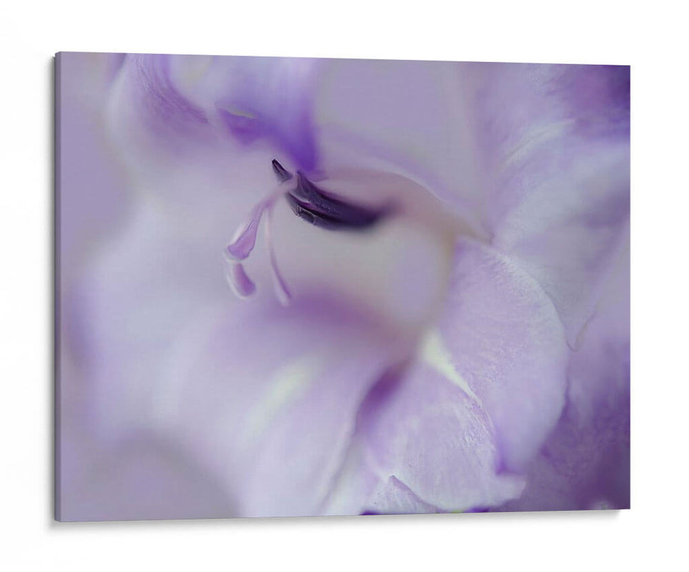 Un Regalo En Púrpura I - Gillian Hunt | Cuadro decorativo de Canvas Lab