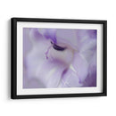 Un Regalo En Púrpura I - Gillian Hunt | Cuadro decorativo de Canvas Lab