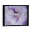 Un Regalo En Púrpura I - Gillian Hunt | Cuadro decorativo de Canvas Lab