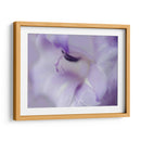 Un Regalo En Púrpura I - Gillian Hunt | Cuadro decorativo de Canvas Lab