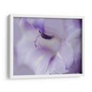 Un Regalo En Púrpura I - Gillian Hunt | Cuadro decorativo de Canvas Lab