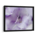 Un Regalo En Púrpura Ii - Gillian Hunt | Cuadro decorativo de Canvas Lab