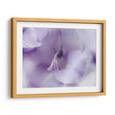 Un Regalo En Púrpura Ii - Gillian Hunt | Cuadro decorativo de Canvas Lab