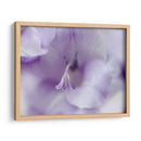 Un Regalo En Púrpura Ii - Gillian Hunt | Cuadro decorativo de Canvas Lab