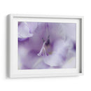 Un Regalo En Púrpura Ii - Gillian Hunt | Cuadro decorativo de Canvas Lab