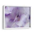 Un Regalo En Púrpura Ii - Gillian Hunt | Cuadro decorativo de Canvas Lab