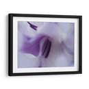 Un Regalo En Púrpura Iii - Gillian Hunt | Cuadro decorativo de Canvas Lab