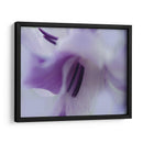 Un Regalo En Púrpura Iii - Gillian Hunt | Cuadro decorativo de Canvas Lab