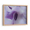 Un Regalo En Púrpura Iii - Gillian Hunt | Cuadro decorativo de Canvas Lab