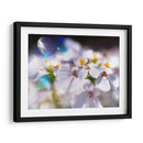 Joyas Del Bosque Encantado I - Gillian Hunt | Cuadro decorativo de Canvas Lab