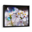 Joyas Del Bosque Encantado I - Gillian Hunt | Cuadro decorativo de Canvas Lab