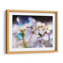 Joyas Del Bosque Encantado I - Gillian Hunt | Cuadro decorativo de Canvas Lab