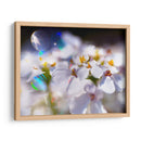 Joyas Del Bosque Encantado I - Gillian Hunt | Cuadro decorativo de Canvas Lab