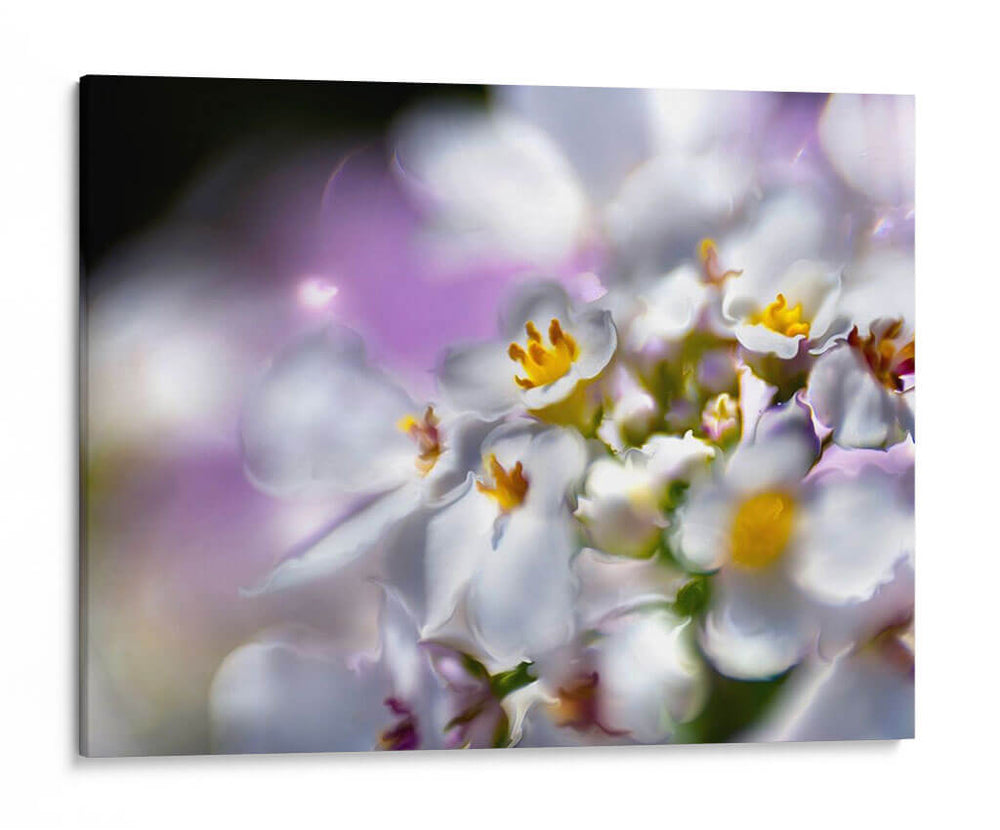 Joyas Del Bosque Encantado Ii - Gillian Hunt | Cuadro decorativo de Canvas Lab