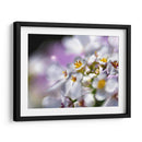 Joyas Del Bosque Encantado Ii - Gillian Hunt | Cuadro decorativo de Canvas Lab