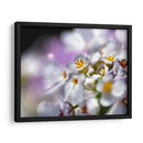 Joyas Del Bosque Encantado Ii - Gillian Hunt | Cuadro decorativo de Canvas Lab