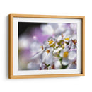 Joyas Del Bosque Encantado Ii - Gillian Hunt | Cuadro decorativo de Canvas Lab