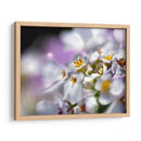 Joyas Del Bosque Encantado Ii - Gillian Hunt | Cuadro decorativo de Canvas Lab