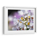 Joyas Del Bosque Encantado Ii - Gillian Hunt | Cuadro decorativo de Canvas Lab