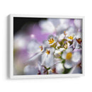 Joyas Del Bosque Encantado Ii - Gillian Hunt | Cuadro decorativo de Canvas Lab