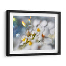 Joyas Del Bosque Encantado Iii - Gillian Hunt | Cuadro decorativo de Canvas Lab