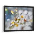 Joyas Del Bosque Encantado Iii - Gillian Hunt | Cuadro decorativo de Canvas Lab