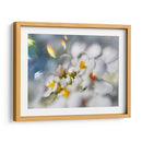 Joyas Del Bosque Encantado Iii - Gillian Hunt | Cuadro decorativo de Canvas Lab