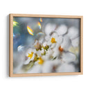 Joyas Del Bosque Encantado Iii - Gillian Hunt | Cuadro decorativo de Canvas Lab